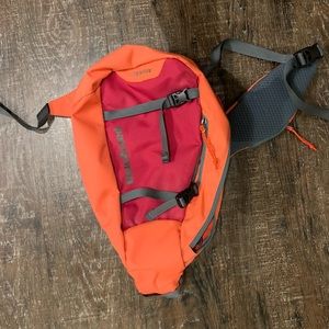 Patagonia Atom Backpack